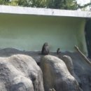 어린이대공원 제3호 이미지