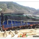 에코우드㈜ 이미지