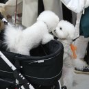 해담은동물병원 이미지