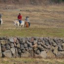 돌담목장 이미지