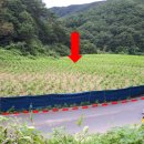 유구농장 이미지