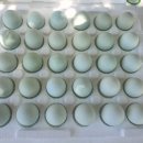 다미농장 이미지