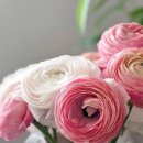 동구부부치과의원 이미지