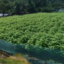 GB부동산공인중개사사무소 이미지