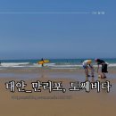 [태안_만리포해수욕장] 18개월 아기랑 해수욕장 추천!_도쎄비다후기
