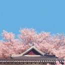 시크릿 호텔2 이미지