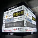 홍익플로우