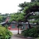 동상주유소 이미지