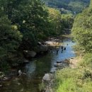 언덕 위 초록지붕 이미지