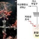 태양가스 이미지