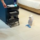 무지개빌라 4동 | 2025.10.20.~10.26.