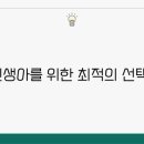 엠브레이스