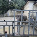 우치농장 이미지