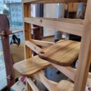 연수중앙초등학교 내 이미지