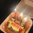 81 | 을지로입구 맛집 해피베어데이 롯데백화점 본점 도시락케이크 솔직후기