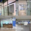 자유도시 | 안양도시공사 호계수영장 자유수영 요금 시간표 주차 한번에 정리