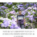 “수국에 미친 공무원 덕분에 장생포가 살아났어요” 이미지