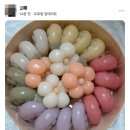온마음떡공방 | 동탄 상견례 선물 추천, 내돈내산 가온떡공방 미니송편 2세트 양가 부모님 대만족 후기