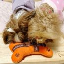 개르메스 이미지