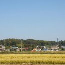 식현2리 이미지