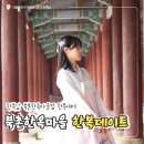 문바우마을 | 창덕궁한복대여 북촌한옥마을 한복남, 창경궁 무료입장 관람후기