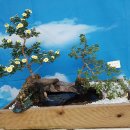 농업기술센터 (1층) 이미지