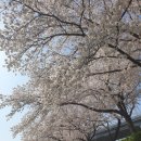한냉 이미지