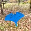 도음산 산림문화수련장 | 가을의 끝자락에서, 세돌 아기와 도음산 산림문화 수련장 방문후기