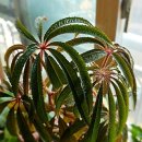 굿모닝농장2 이미지