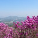 천주산 만남의 광장 이미지