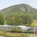 대촌주유소 이미지