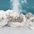 토리농장 이미지