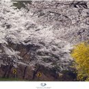 추월산로 이미지