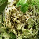 이상태농장 이미지