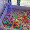 꿀잼키즈룸 이미지