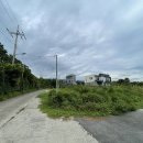 강정동-53 이미지