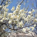 김해삼계중학교 이미지