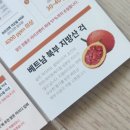 (주)북부한알 | 지엘라이프 베트남걱오일 라이코펜 성분으로 40대 건강지켜볼까?