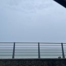 스테이 너울 이미지