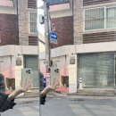 [개포3] (방학특강)블루베리 레어치즈케이크 | 연남동애견동반카페 osds 영업시간 방학맞이 데이트