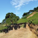 부대목장 이미지