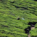 동탄부동산중개사무소 이미지