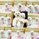 워킹포드림 이미지