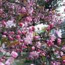 기쁨뜰펜션 이미지