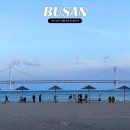 요트경기장내 공영주차장 | 부산 해운대 광안리 가볼만한곳 요트투어부터 아쿠아리움까지 바다 여행코스 추천