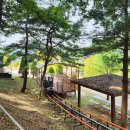 행복조류사 이미지