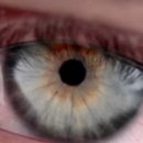 코리아의안센터 이미지