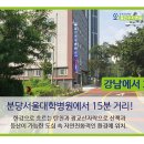 의료법인 수지의료재단 이미지