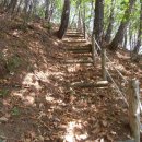 푸른솔농장4 이미지