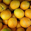 해아림 한의원 이미지